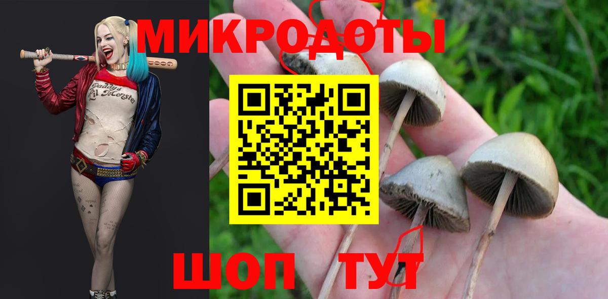 Псилоцибиновые грибы MAGIC MUSHROOMS  где купить наркоту  Вход с VPN  Урюпинск  Галлюциногенные грибы Magic Shrooms 